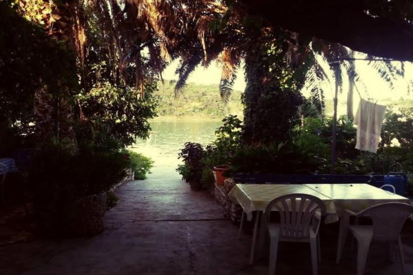 Guest House Green Corner Supetarska Draga - One Bedroom Apartment With Balcony and Sea View - foto 27