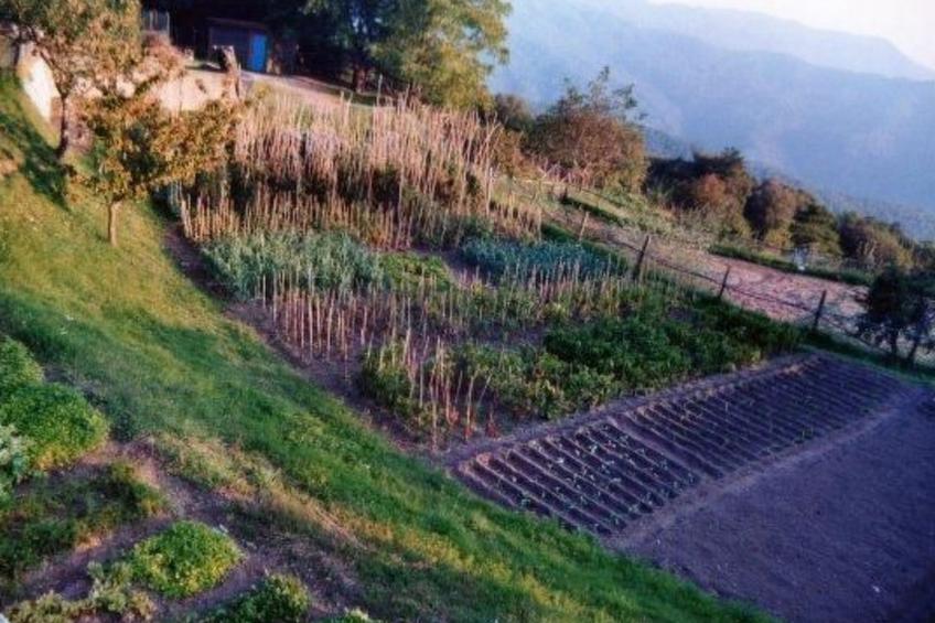 Appartement in Castiglione Chiavarese mit Garten - foto 26