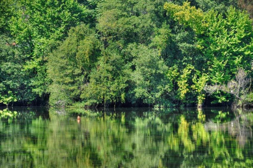 Casa do Tanque - foto 37