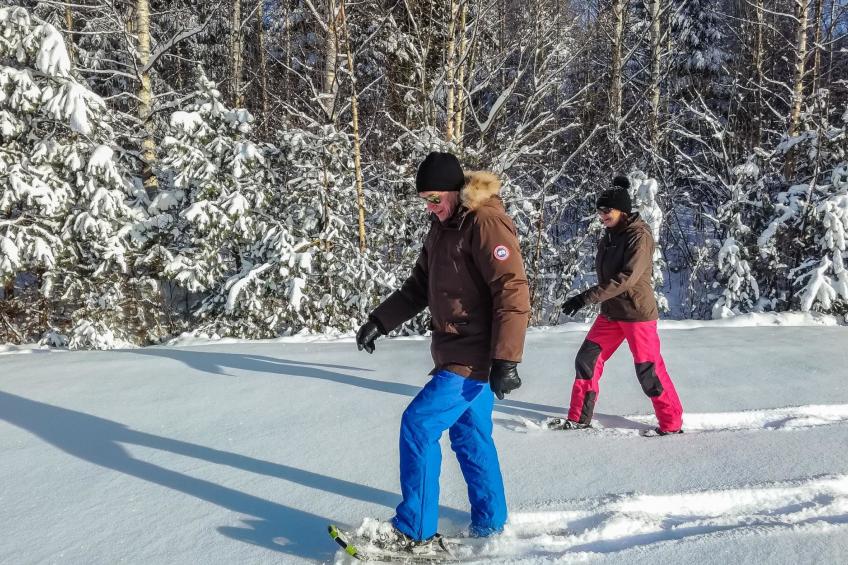 Kalliokoivu - foto 18