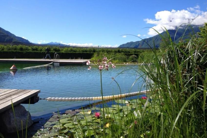 Fewo mit Wellness-Einrichtung - foto 24