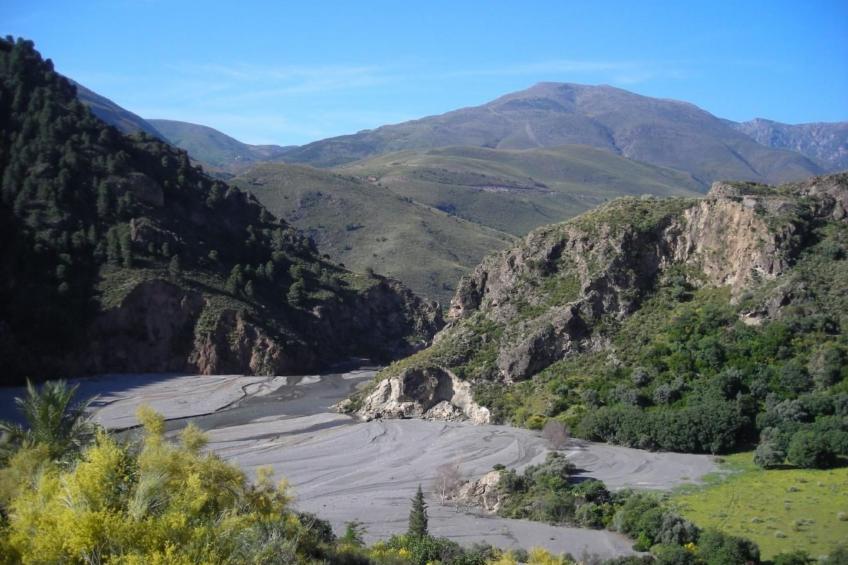 Eine Oase der Ruhe mitten in der Stadt - foto 39