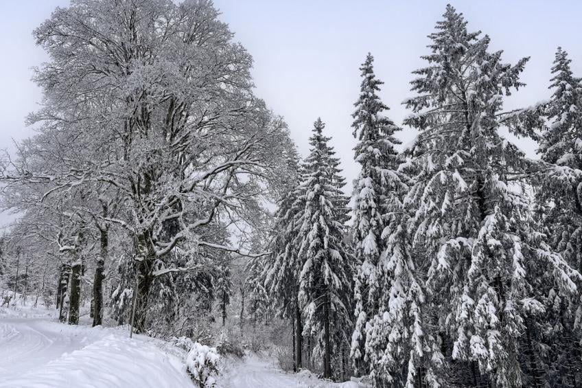 Haus Schneekopf - foto 29