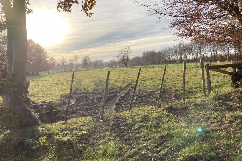 Exklusives Ferienhaus mit Terrasse und Garten - foto 45