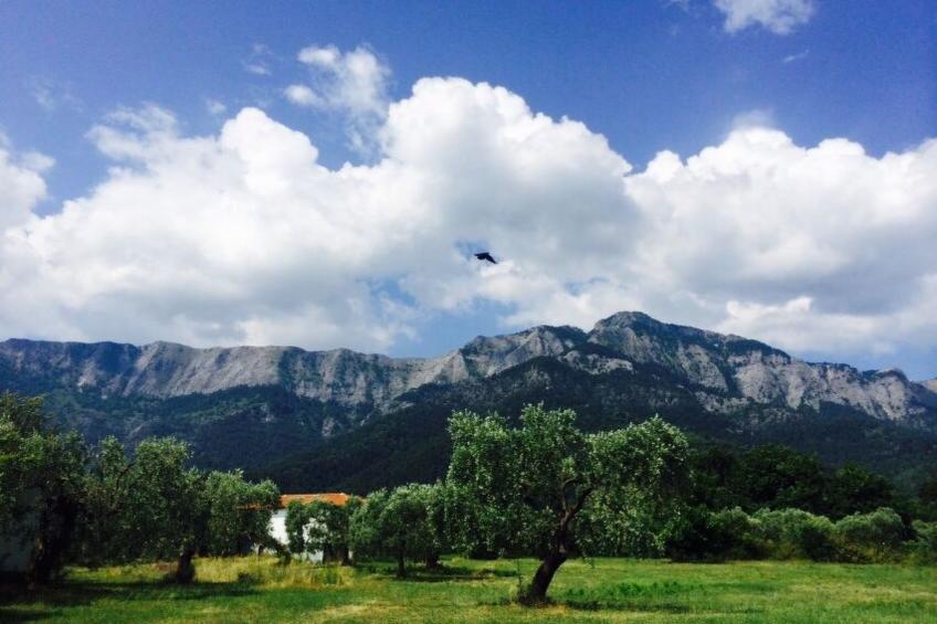 Strandnahes Ferienhaus mit privatem Garten - foto 3