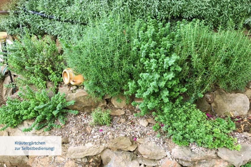 in Ermioni mit Garten, gemeinschaftlichem Pool und Terrasse - foto 9