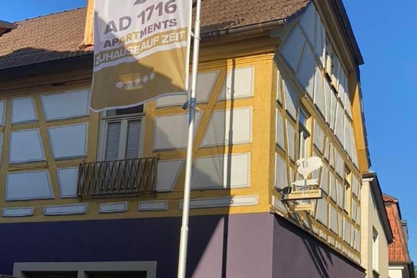 Der Tennenboden im Anno Domini 1716 - foto 14