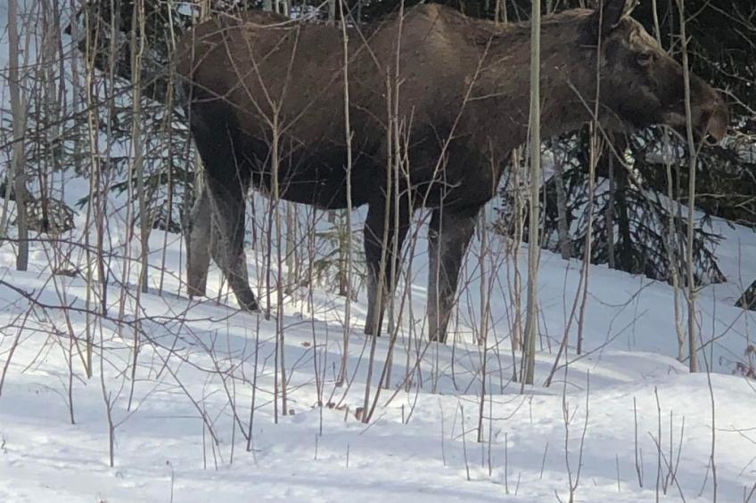 Ölrun Stuga - foto 22