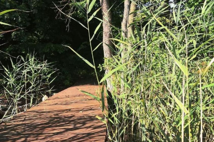 "Ferienhaus GolczaVita" - foto 18