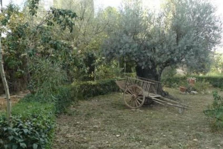 Torre de Campos in Ainzón - Hauptgebäude - foto 24