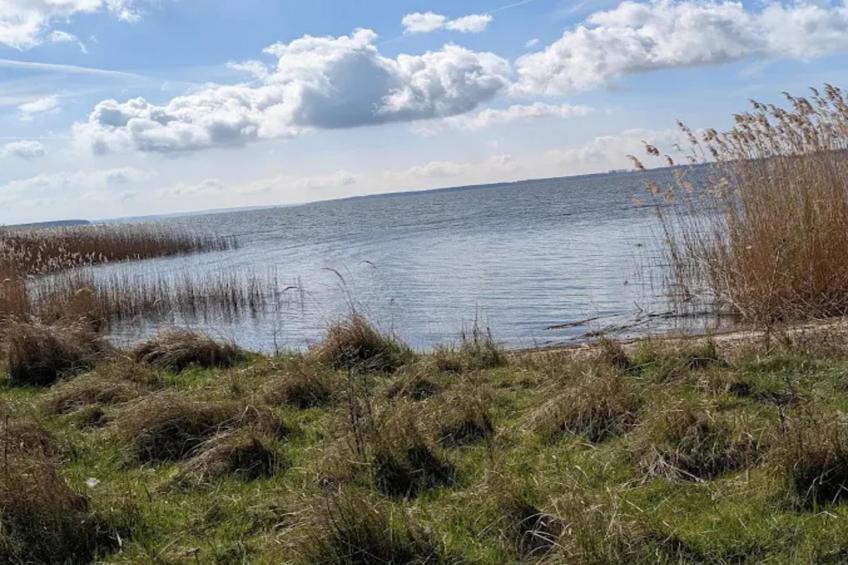 Apartment, Lütow - foto 19