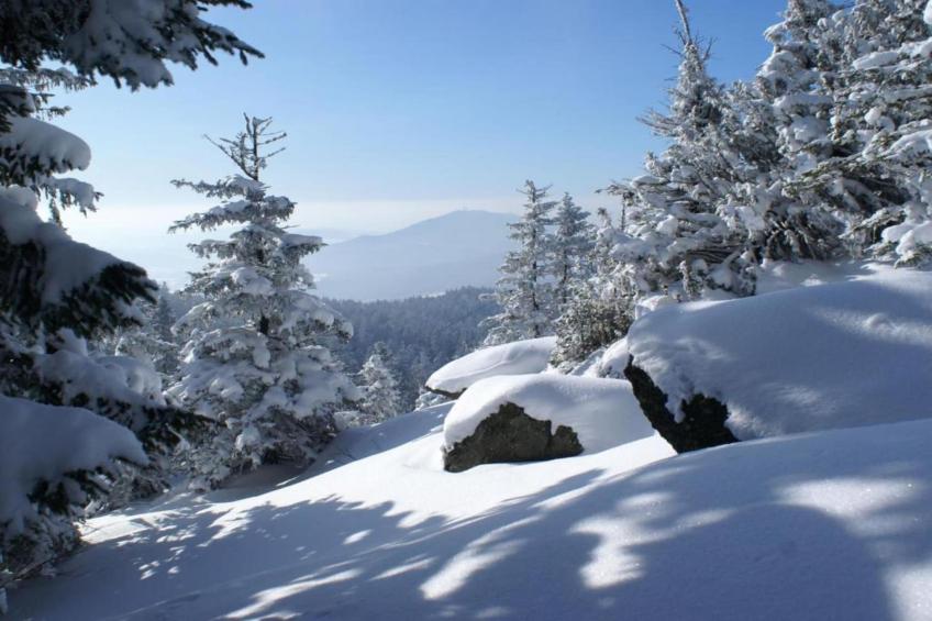 Bayerischer Wald - foto 35