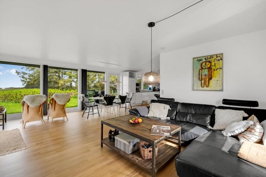 "Aleida" - 100m to the inlet in Western Jutland - foto 28