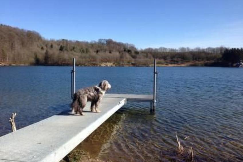 Eifelhäuschen - foto 32