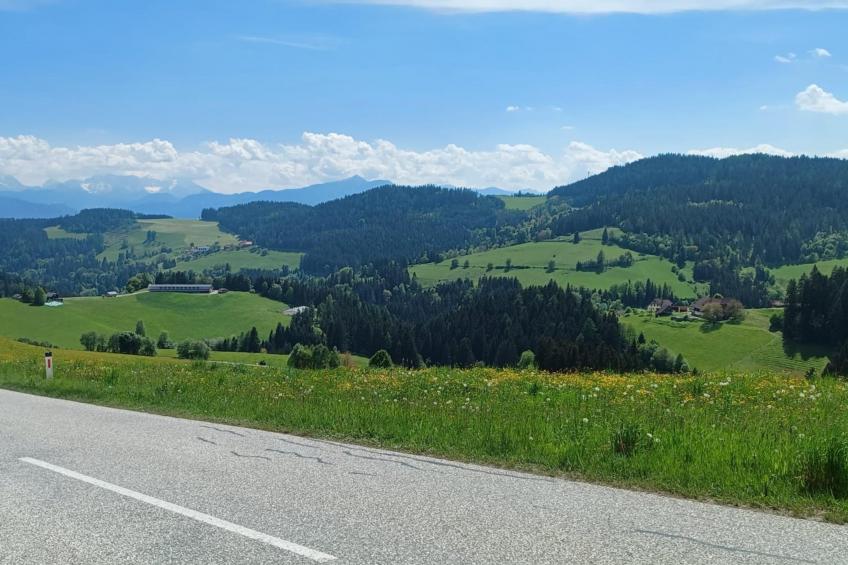 Zur Sonne - foto 42