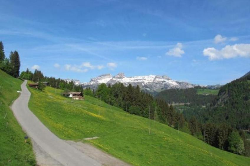 Authentisches Schweizer Alpenchalet aus dem 18. Jh. - foto 42