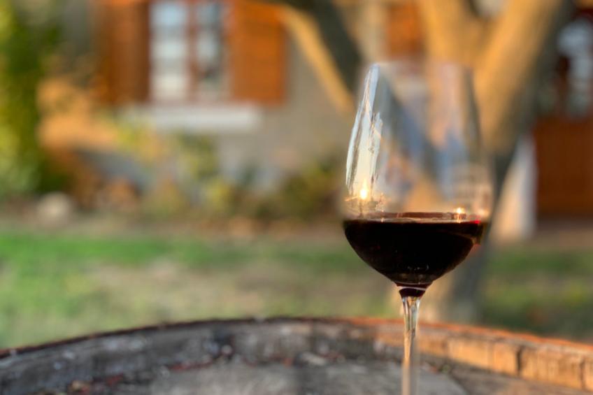 am Weinberg - foto 22