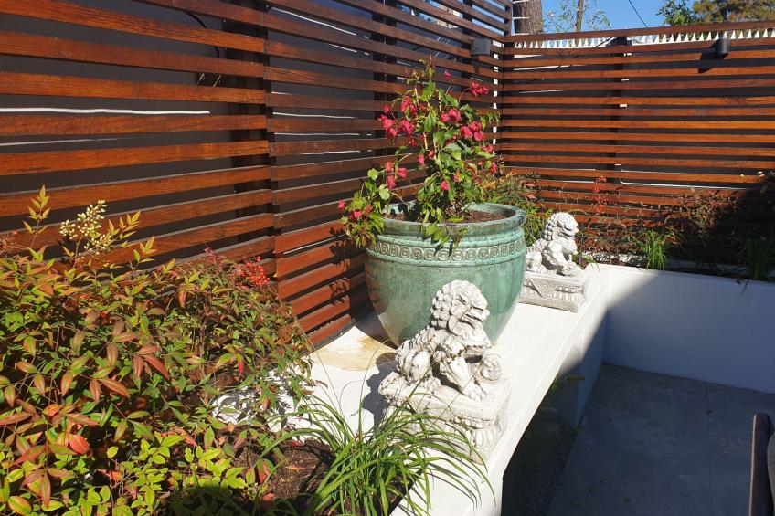 Kleines Ferienhaus in Deurdrif mit Privatem Garten - foto 23