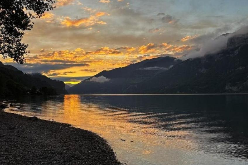 mit eigener Terrasse - foto 18