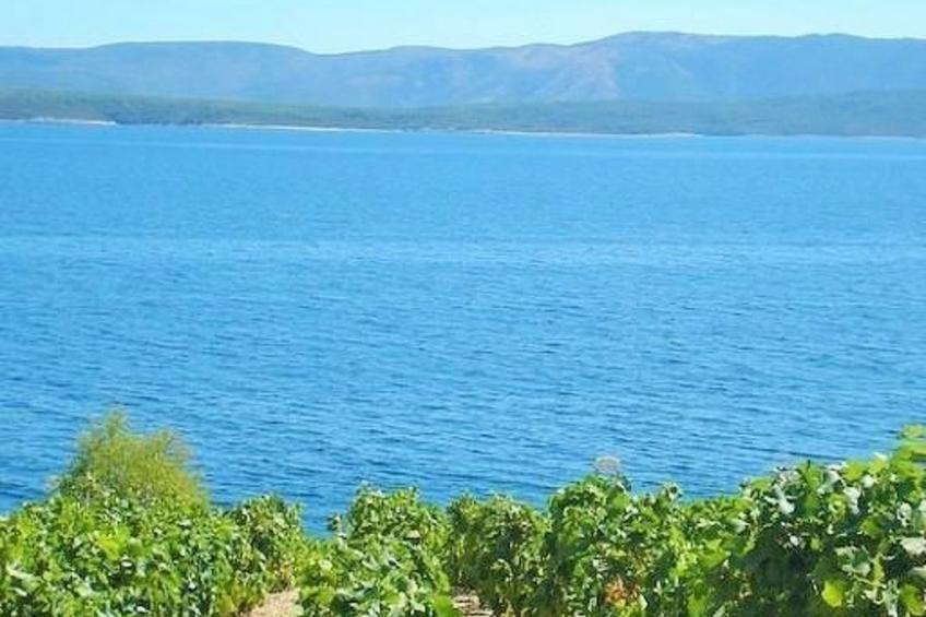 "Paradise Beach Retreat" - foto 31