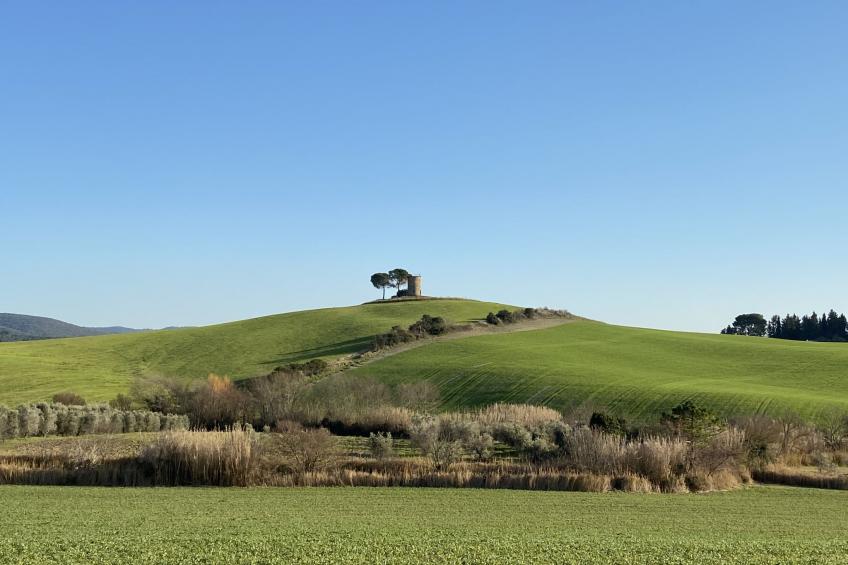 Rosa Peonia' Wohnung mit Terrasse - foto 34
