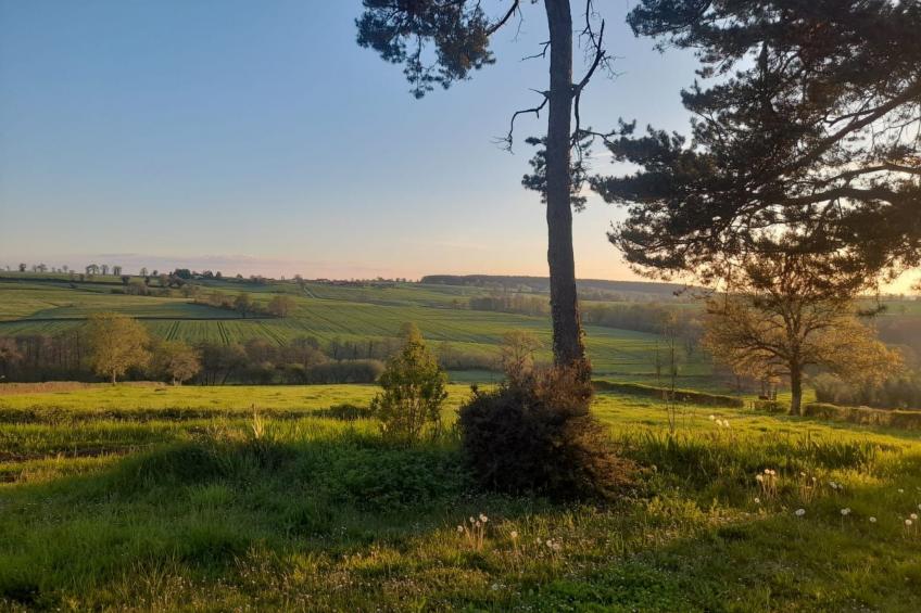 Charmantes Haus in der Auvergne - foto 9