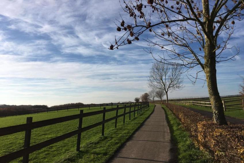 Resort Gulpen 8 - foto 30