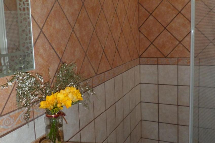 "Rafaela" mit Wasserblick - foto 5