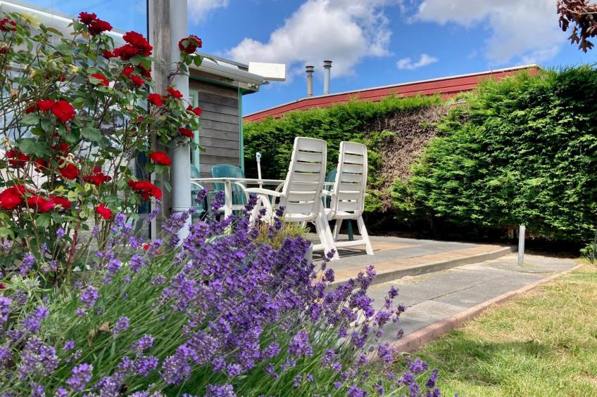 in Anjum mit Kleinem Garten - foto 20