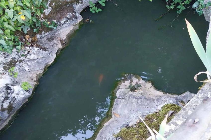 Holiday Home Gioia Cristina - One Bedroom Holiday Home with Terrace - foto 24