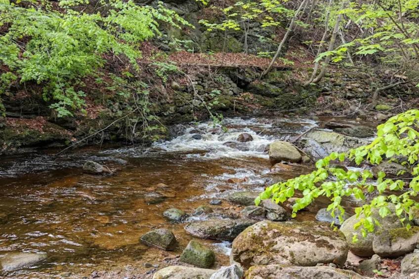 Haus Buchberg - foto 15
