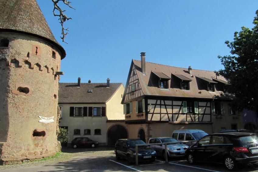 2ed-Face Vosges,im Süden,Herz Weinberg,Ruhig,WiFi - foto 21