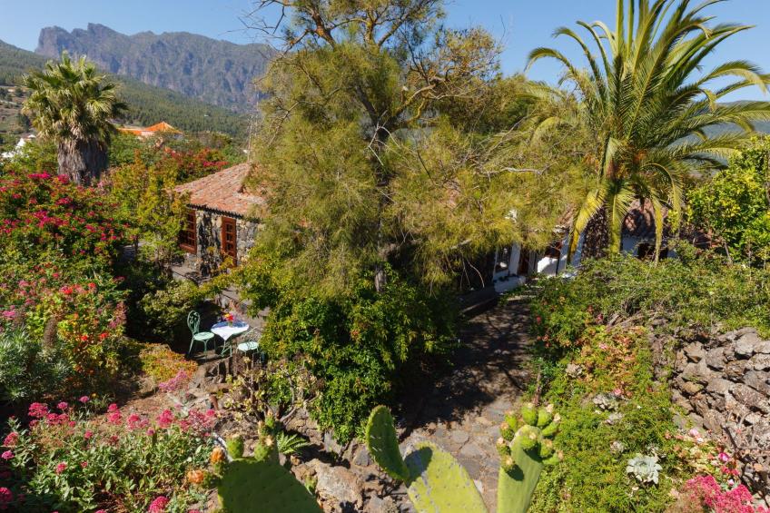 Las Tortugas - foto 26