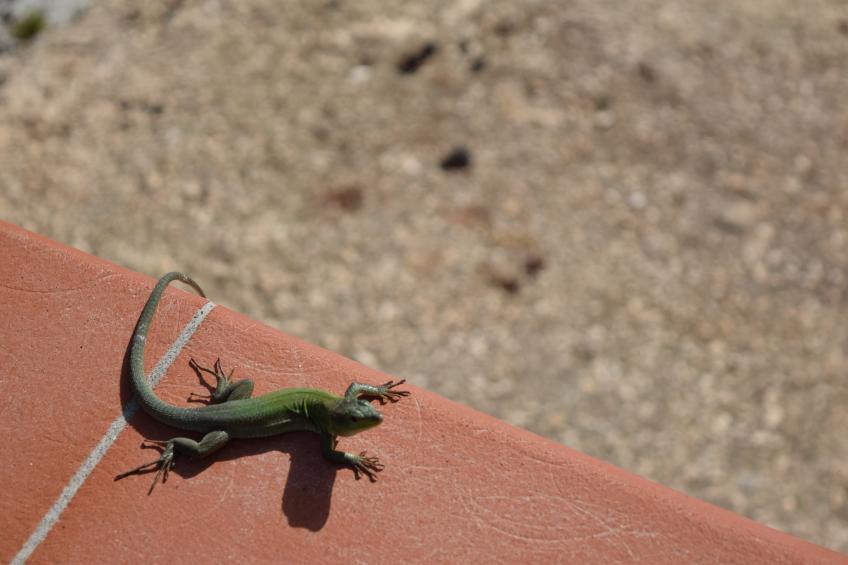 Casa Monti Iblei - foto 28