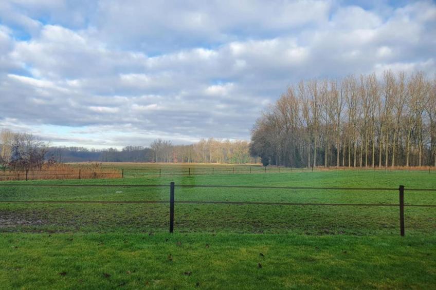 De woelige stal - foto 32