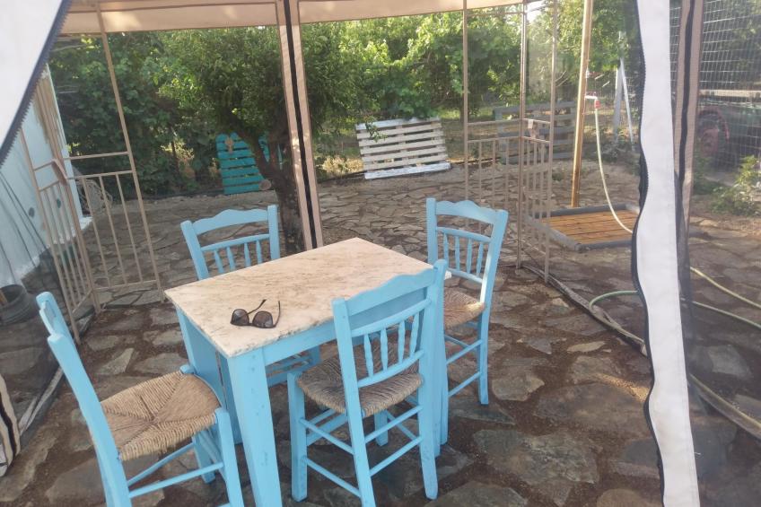 neben Orangenbaum-Obstgarten - foto 26