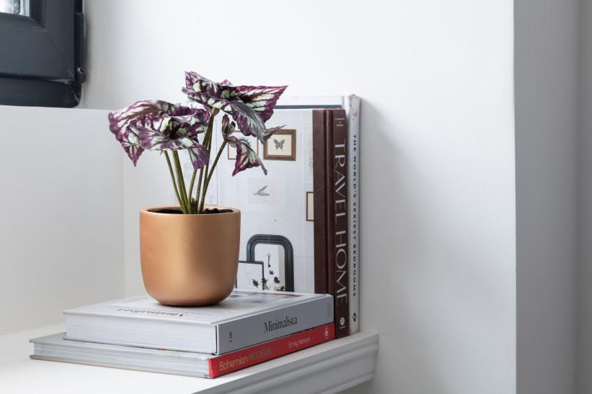 Capel Salem - foto 25