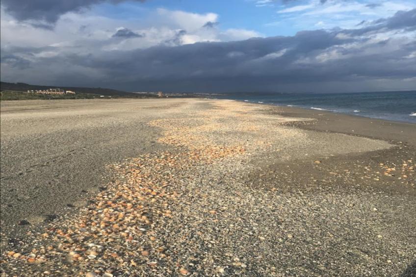 MDG-623 MIRADOR DEL GOLF ESTEPONA - foto 38