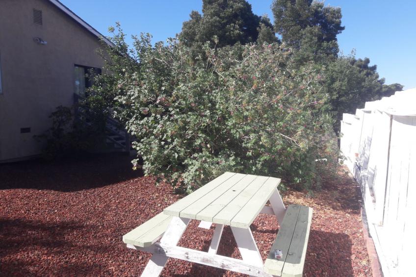50 La Cruz Avenue, Benicia, Kalifornien - foto 38