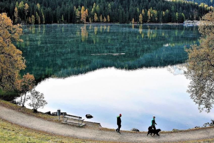 The Holiday Home Davos - foto 14