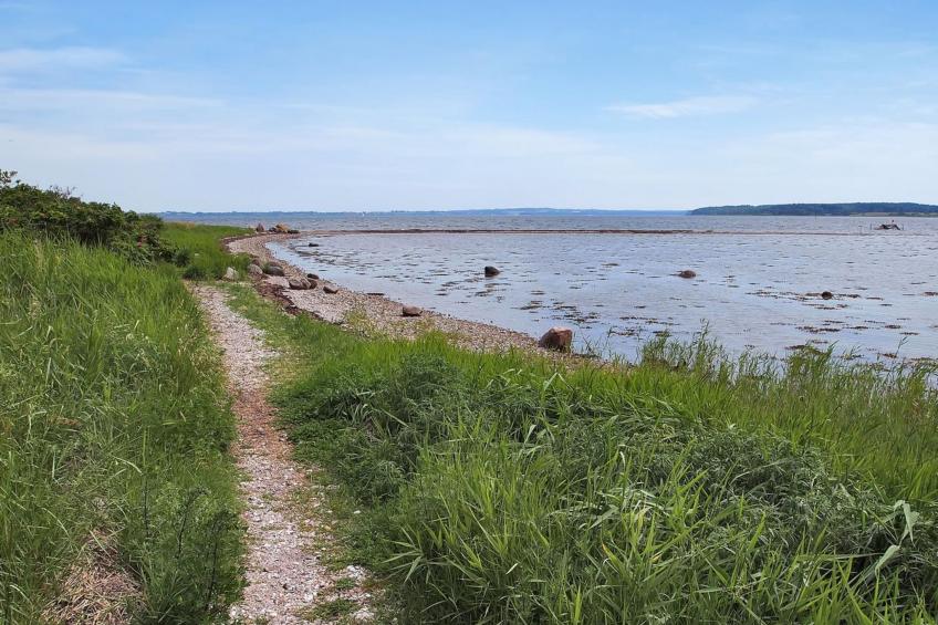 "Jeip" - 400m to the inlet in Sealand - foto 13