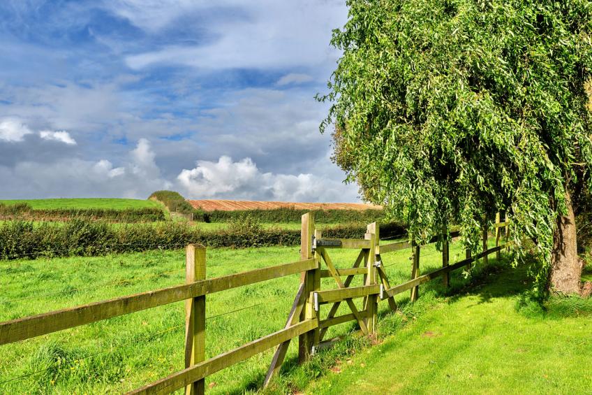 The Barn at Prowses Farm - foto 13