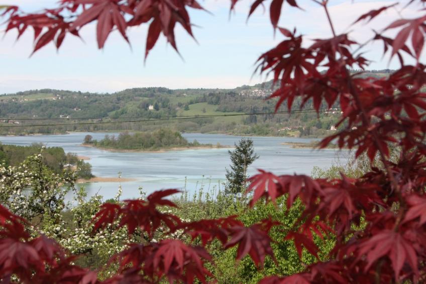 in Aiguebelette-Le-Lac mit Garten, Terrasse und Grill - foto 8