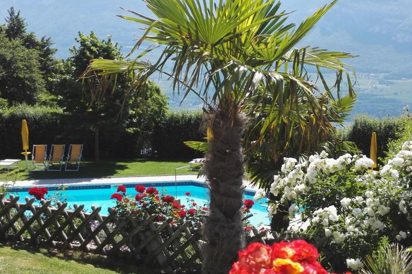 Gala+ Vernatsch - foto 32