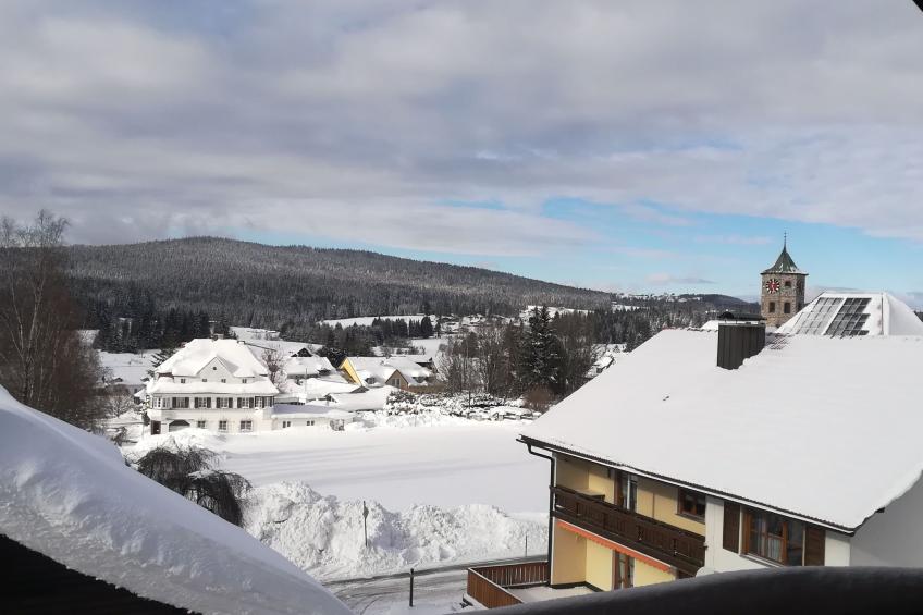 in Haidmühle mit Großem Garten - foto 20