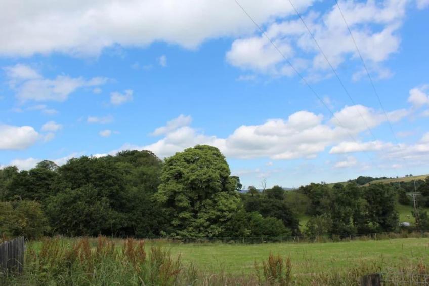 Five Waterings - foto 25