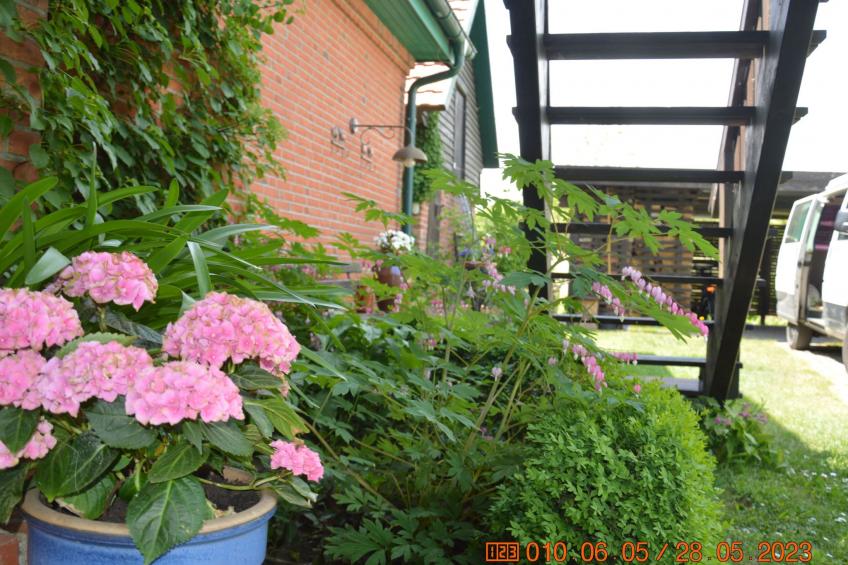 Büdnerei Cantnitz - foto 20