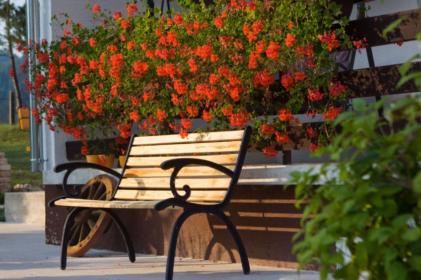 "Lana" mit Whirlpool - foto 16