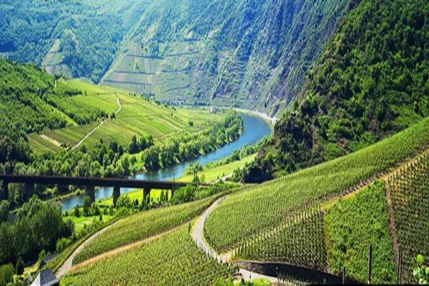 Ferienhaus der Saison an der Mosel - foto 27