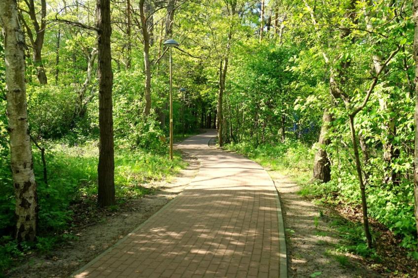 "Paradise Star Bobolin" - foto 23